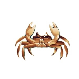 Maritime Crab